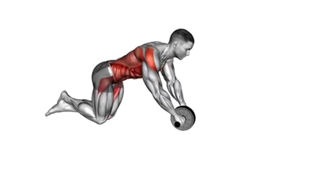 Ролик для пресса