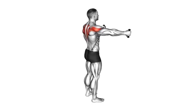 Разведения ленты