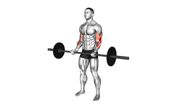 Сгибания рук со штангой