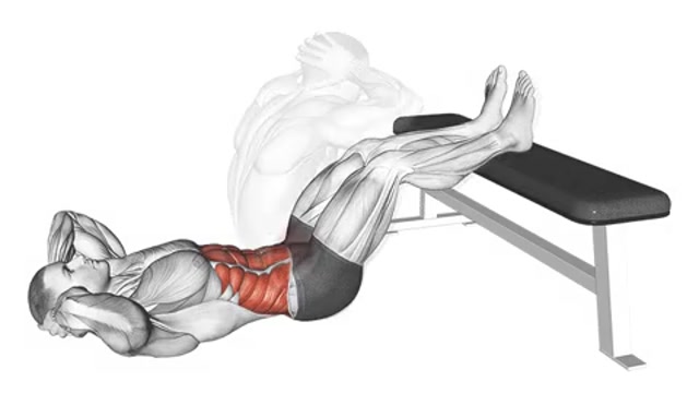 Подъемы туловища на скамье