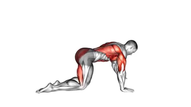 Птица-собака