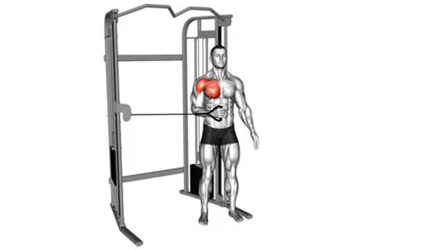 Внутренняя ротация плеча на блоке