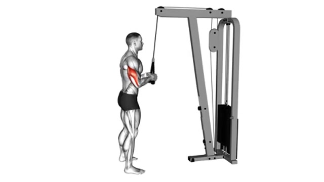 Жим вниз на блоке