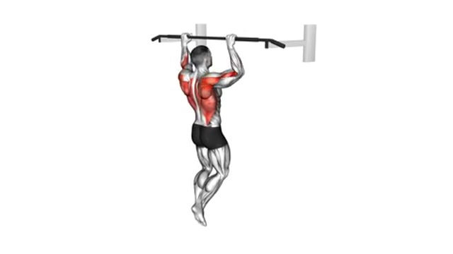 Подтягивания обратным хватом