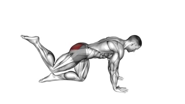 Ослиные пинки