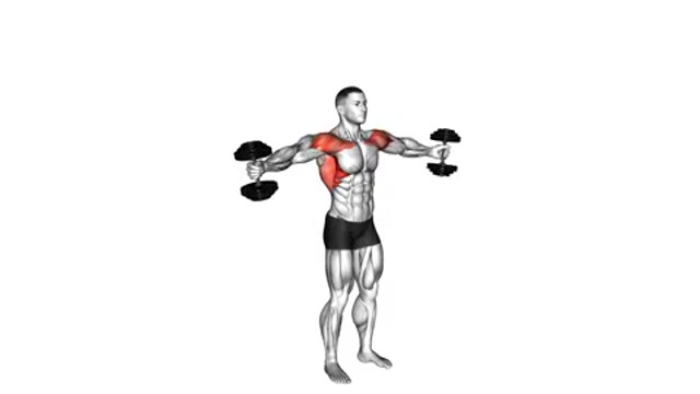 Круговые движения с гантелями