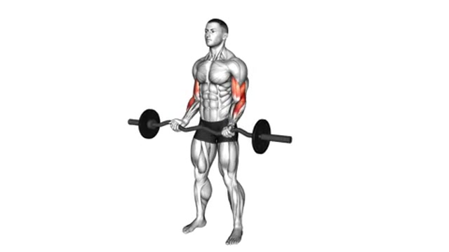 Сгибания рук с EZ-грифом