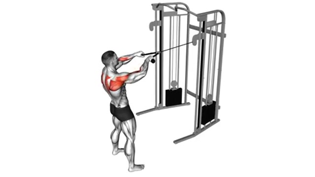 Тяга к лицу