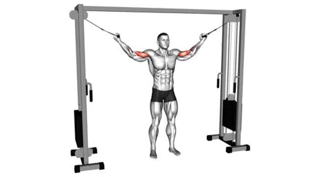 Сгибания рук на верхнем блоке