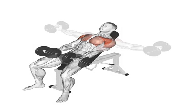 Круговые движения на наклонной скамье