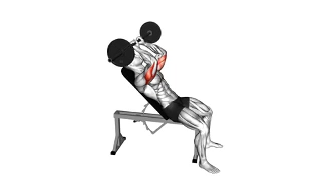 Французский жим на наклонной скамье