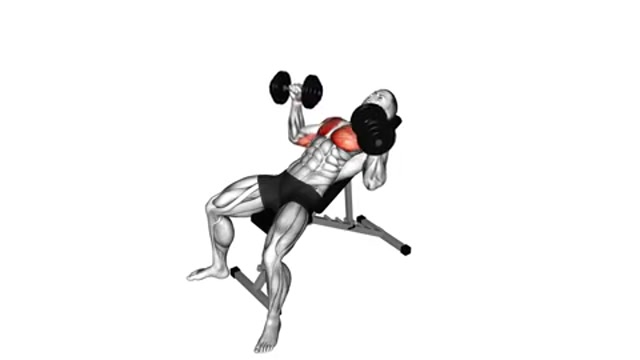 Жим гантелей на наклонной скамье