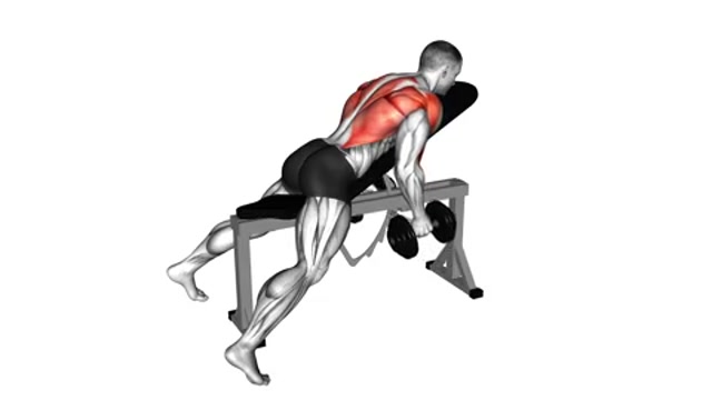 Тяга гантелей на наклонной скамье