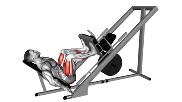 Жим ногами под наклоном