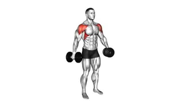 Lateral dumbbell raises