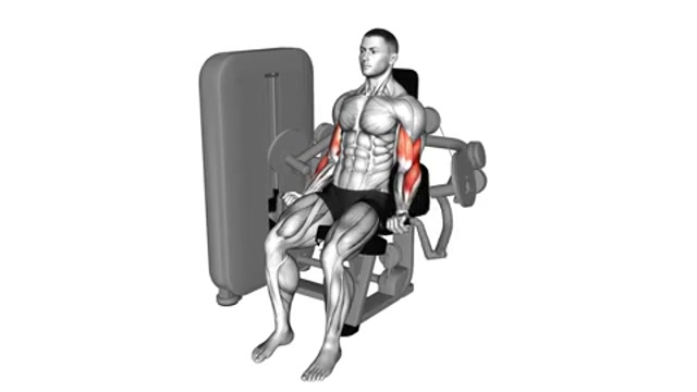 Сгибания рук на тренажере