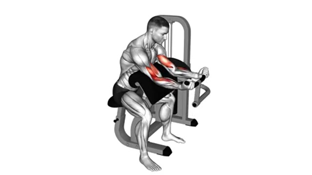 Сгибания рук на универсальном тренажере
