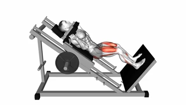 Гакк-приседания на тренажере