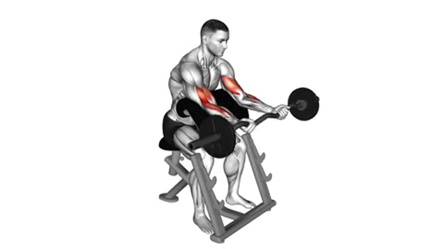 Сгибания рук на скамье Скотта