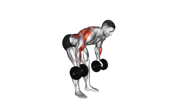 Тяга гантели обратным хватом