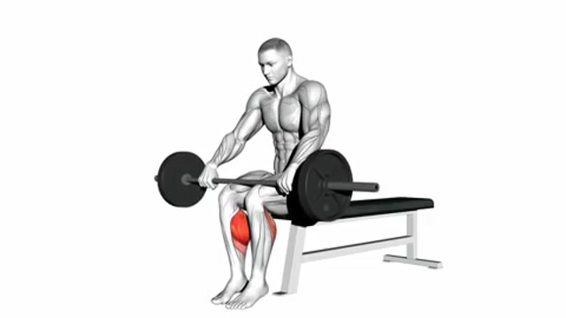 Подъемы на носки сидя со штангой
