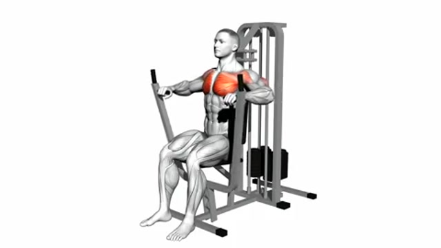 Жим от груди сидя