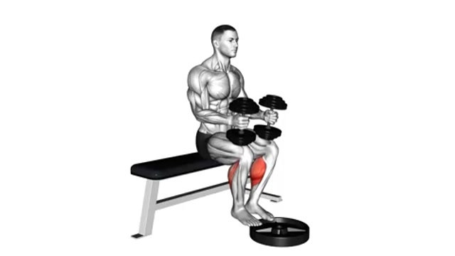 Подъемы на носки сидя с гантелями