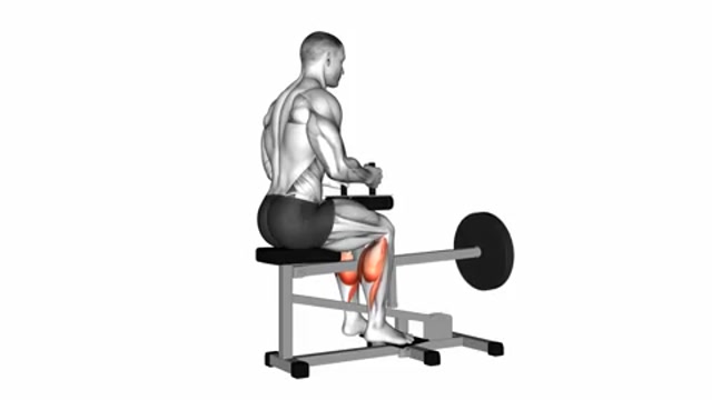 Подъемы на носки сидя на тренажере