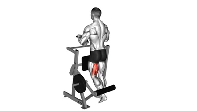 Сгибания ног стоя