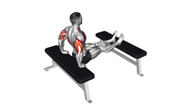 Отжимания между скамьями