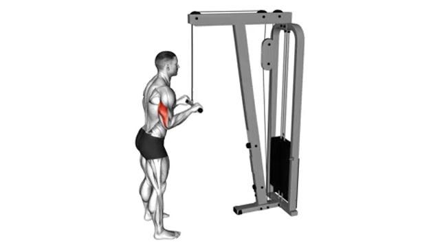 Жимы вниз на блоке